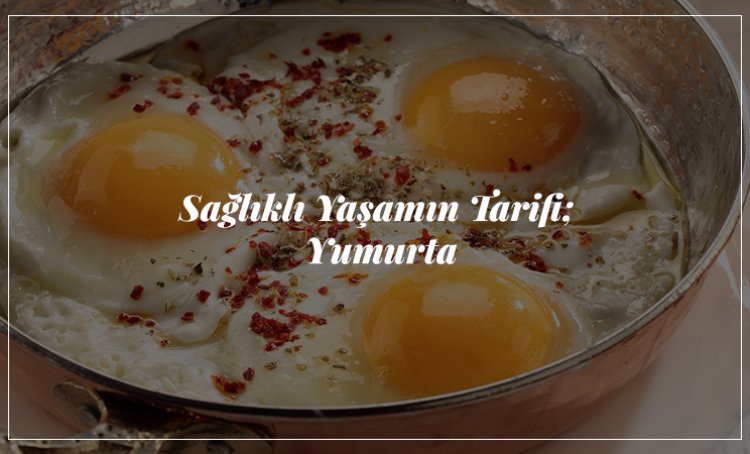 Günde bir yumurta kalbi korur mu?